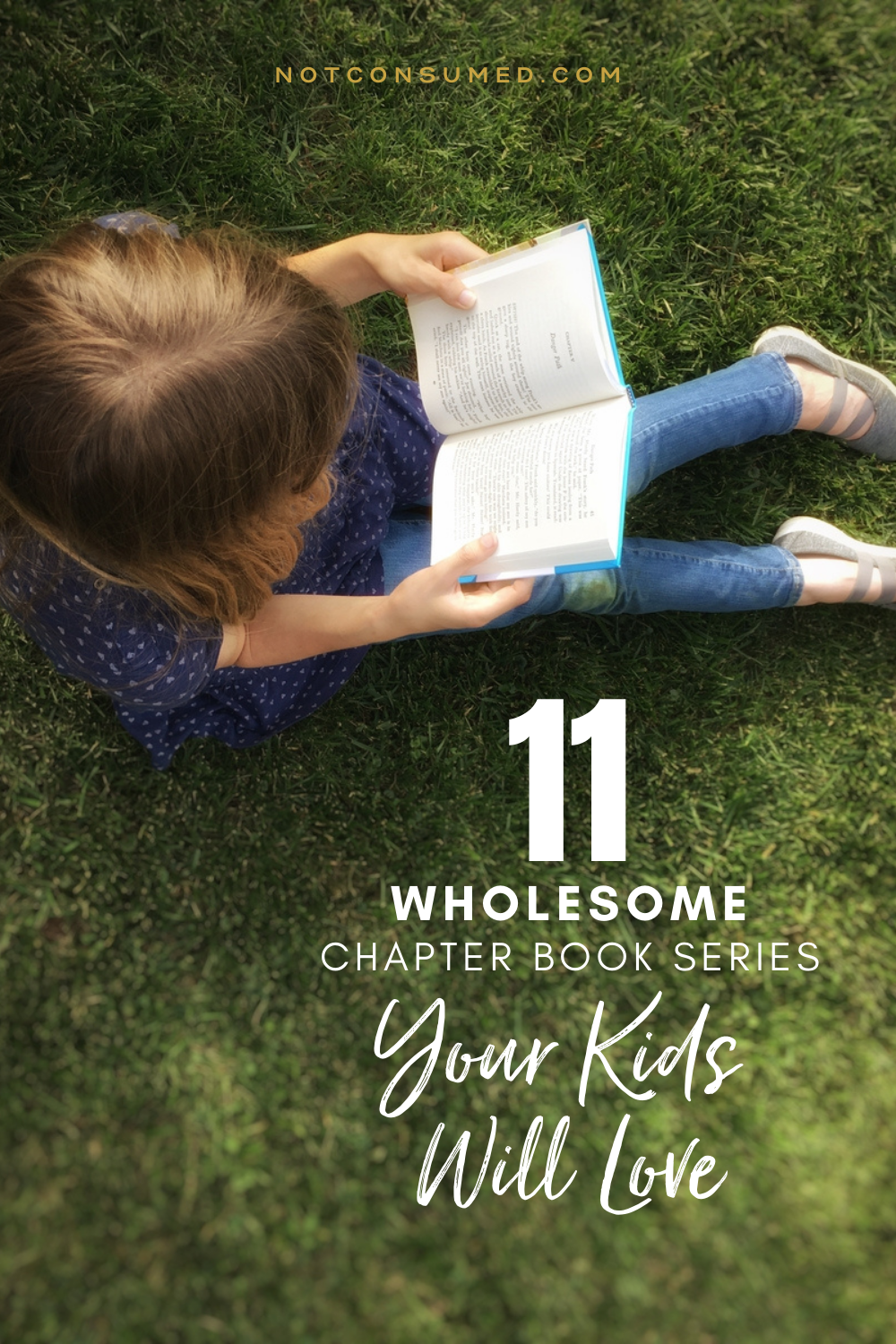 11 Wholesome Christian Children's Book Series